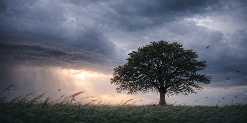 Have the Courage to Change Your Mind